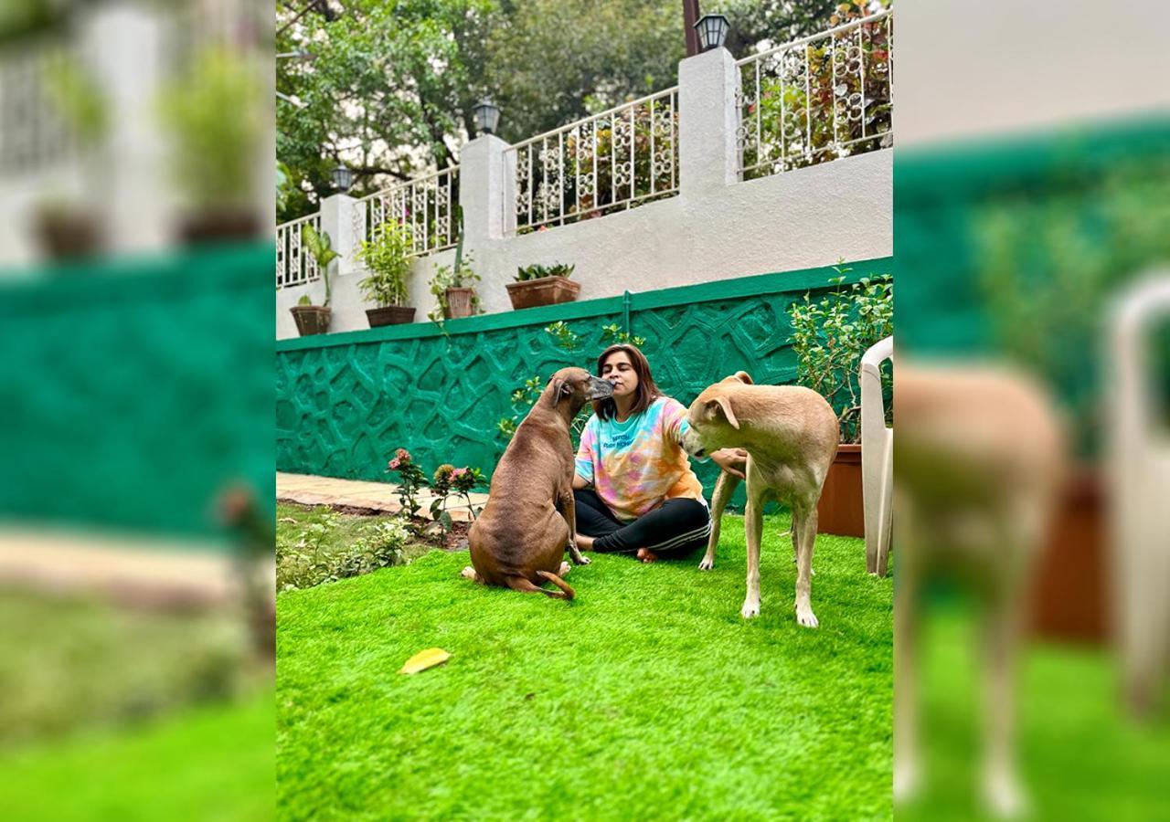 Angel House -Your Private Pet Friendly Haven Lonavala Eksteriør bilde